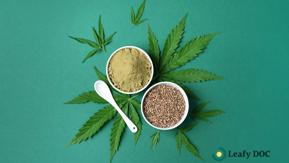 How to Make THC Powder: A Step-by-Step Guide for Beginners