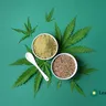 How to Make THC Powder: A Step-by-Step Guide for Beginners