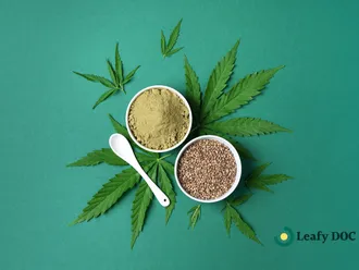 How to Make THC Powder: A Step-by-Step Guide for Beginners