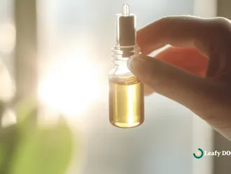 The Ultimate CBD Dosage Guide For Wellness
