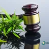The Future of Medicinal Use: Insights into 2025 Cannabis Policy Reform Legislation
