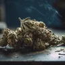 Choosing The Right Cannabis Strains For Pain Management