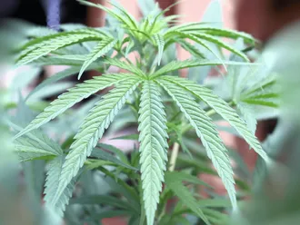Does Weed Help with Anxiety?