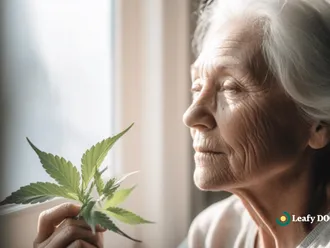 Understanding The Impact Of Cannabis On Brain Function In Aging