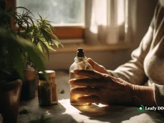 Using Cannabis For Managing Pain In The Elderly