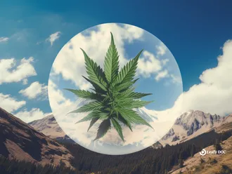 What Is A Colorado Marijuana Med Badge?
