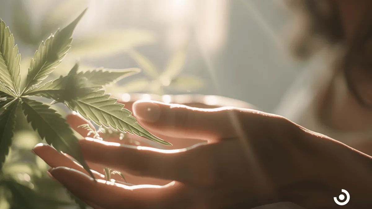11 Health Benefits Of Cannabis Topicals