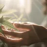 11 Health Benefits Of Cannabis Topicals