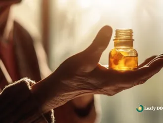 Using Cannabis For Memory Loss In Aging