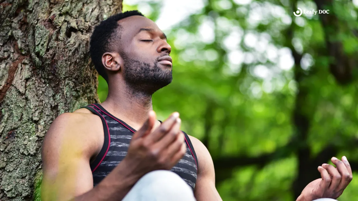 Incorporating Medical Marijuana into Your Wellness Routine: Yoga, Meditation, and More
