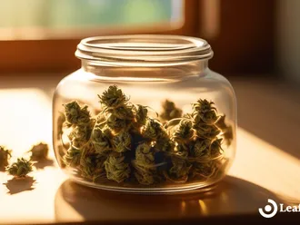 How To Make Cannabis Oil