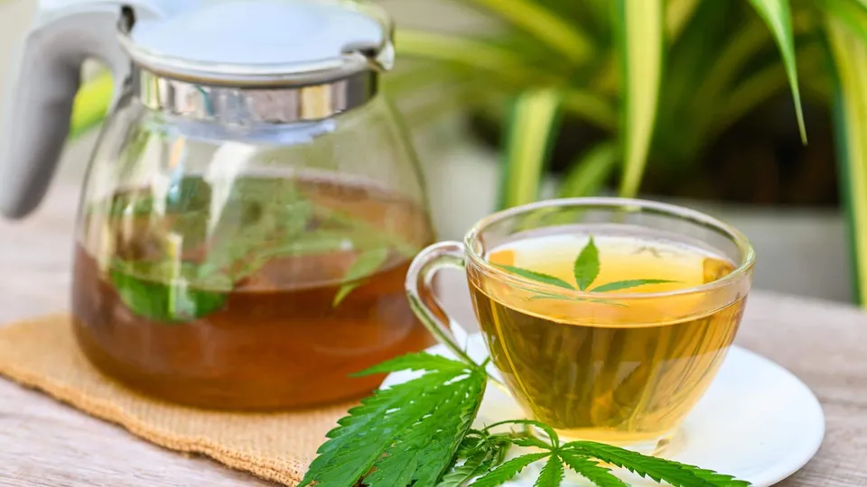 The Health Benefits of Marijuana Tea