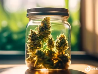 Discover The Best Cannabis Strains For Sleep