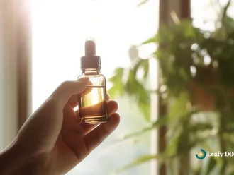 How To Use Cannabis Tinctures For Health Benefits