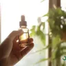 How To Use Cannabis Tinctures For Health Benefits