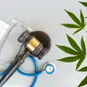 Stay Up-to-Date with Medical Marijuana Laws and Regulations in NY
