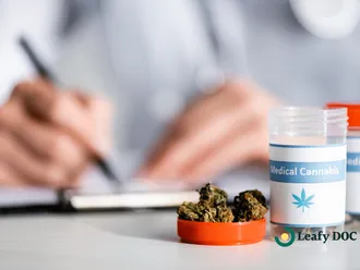 Renew Your Medical Cannabis Card in Minutes | 5 Quick Steps