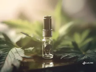 How to Refill a Cannabis Vape Cartridge