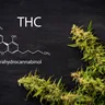 What is THC - How it Works and Potential Benefits