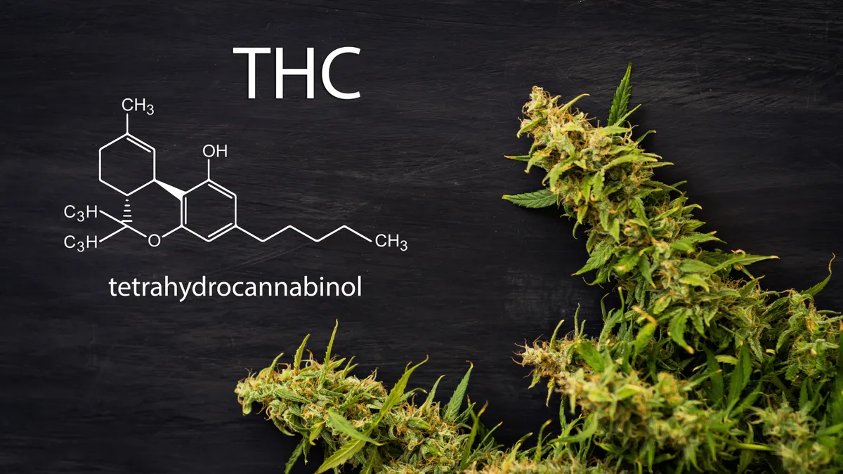 What is THC - How it Works and Potential Benefits