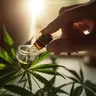Finding The Right Dosage: THC Vs CBD
