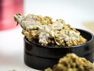 What to Know About Moldy Weed