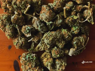 How Much Is A Zip Of Weed?