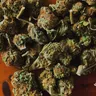 How Much Is A Zip Of Weed?