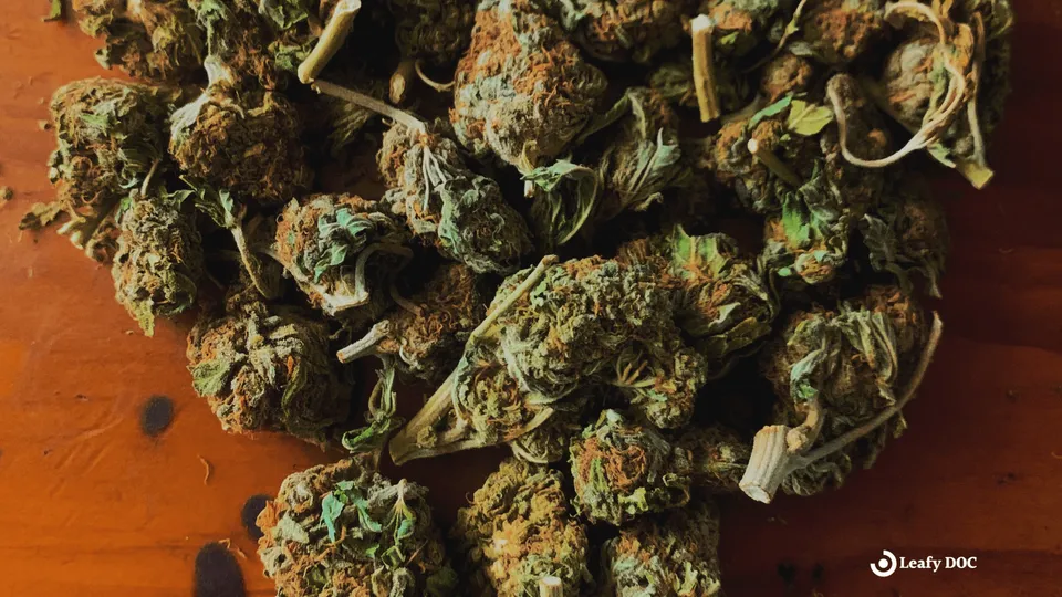 How Much Is A Zip Of Weed?