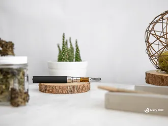 Everything You Need To Know About THC O