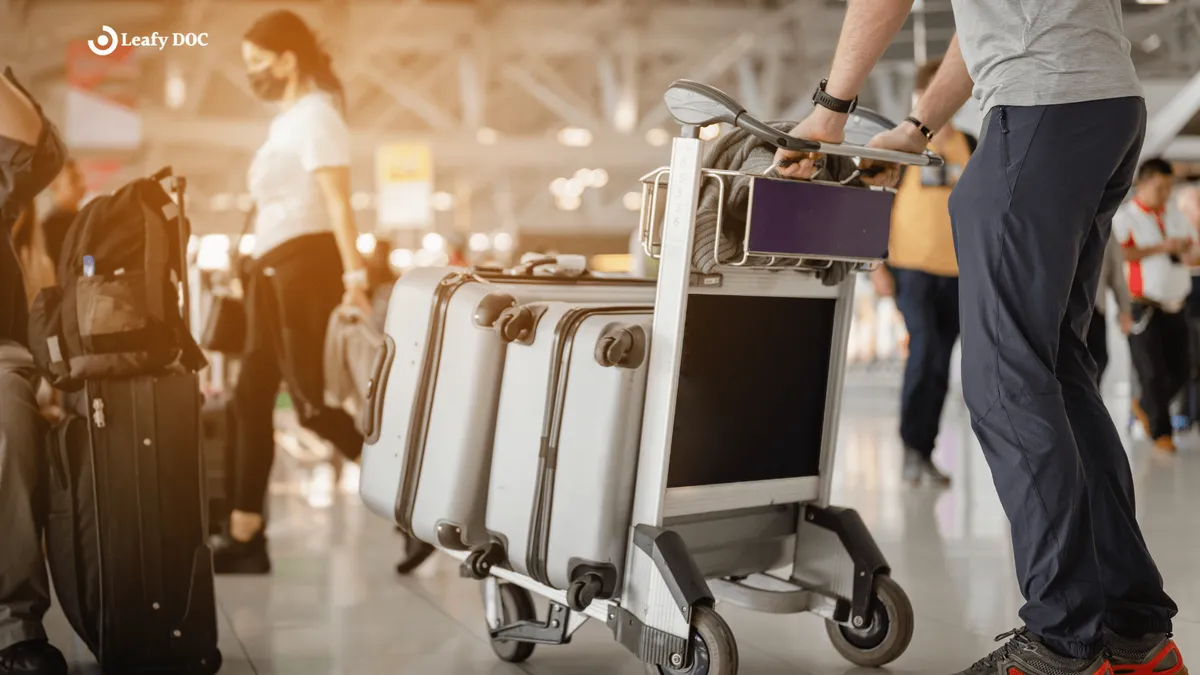 Traveling with Medical Marijuana: Tips and Advice for Patients on the Go