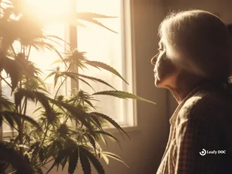 How To Use Medical Marijuana For Lupus