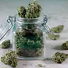 Shop the Best Missouri Medical Marijuana Products
