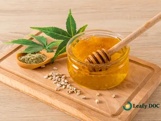Cannabis Honey 101: Everything You Need to Know Before You Start