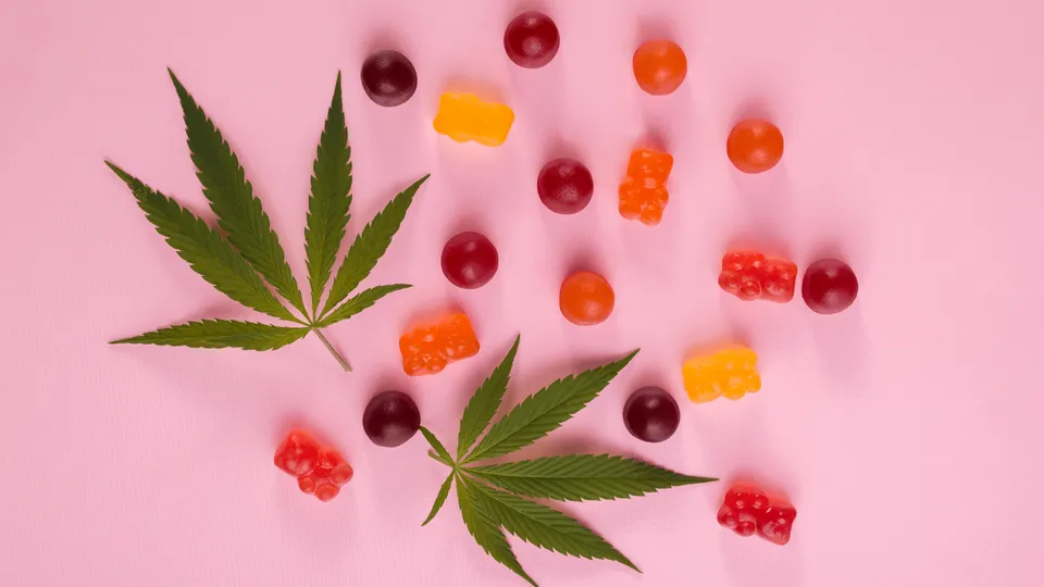 Can I Buy Medical Marijuana Edibles in PA?