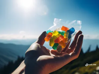 Can You Bring THC Gummies On An Airplane?