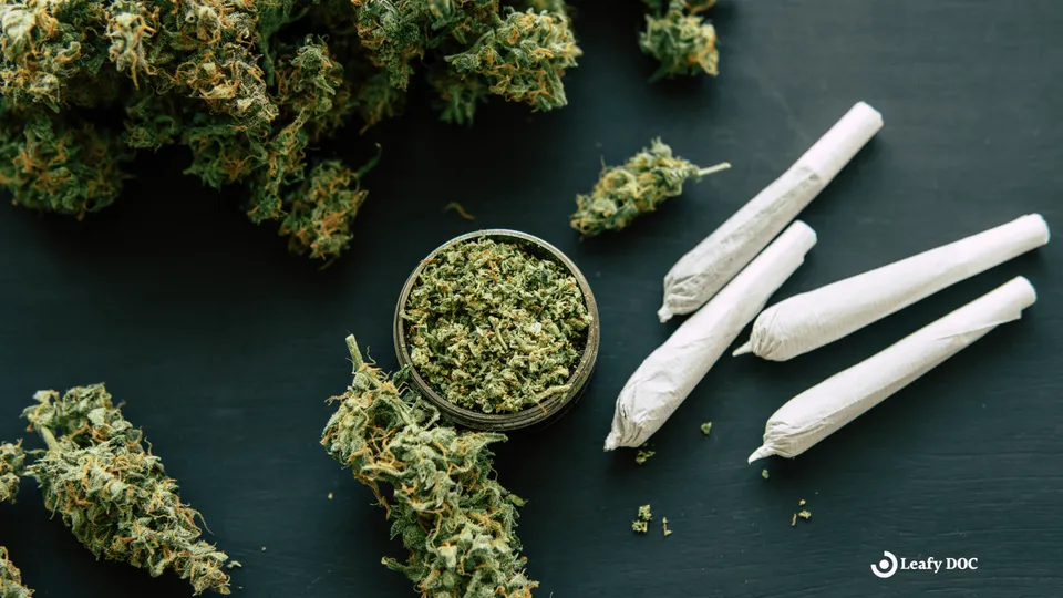 THC P Uncovered: The Complete Guide