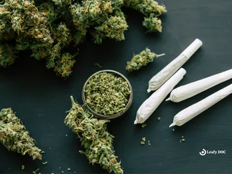 THC P Uncovered: The Complete Guide