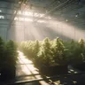 Can Artificial Intelligence Help The Cannabis Industry?