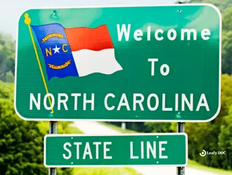 North Carolina Tribe Votes Overwhelmingly For Marijuana Legalization