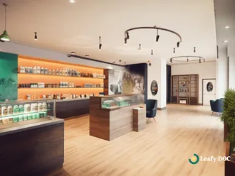 Top Medical Marijuana Dispensaries To Visit