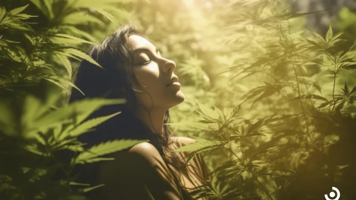 Promoting Mental Wellness With Cannabis: An Alternative Approach