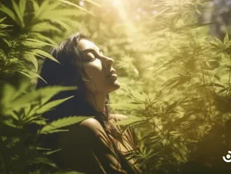 Promoting Mental Wellness With Cannabis: An Alternative Approach