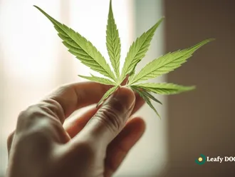 The Potential Of Cannabis In Treating Neurological Disorders