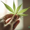 The Potential Of Cannabis In Treating Neurological Disorders