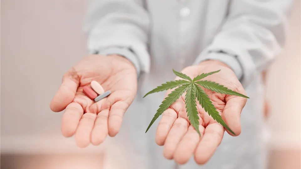 Has Medical Marijuana Impacted the Opioid Epidemic?