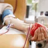Are Cannabis Users Allowed to Donate Blood?