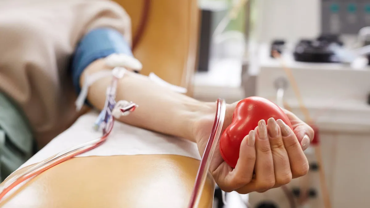 Are Cannabis Users Allowed to Donate Blood?