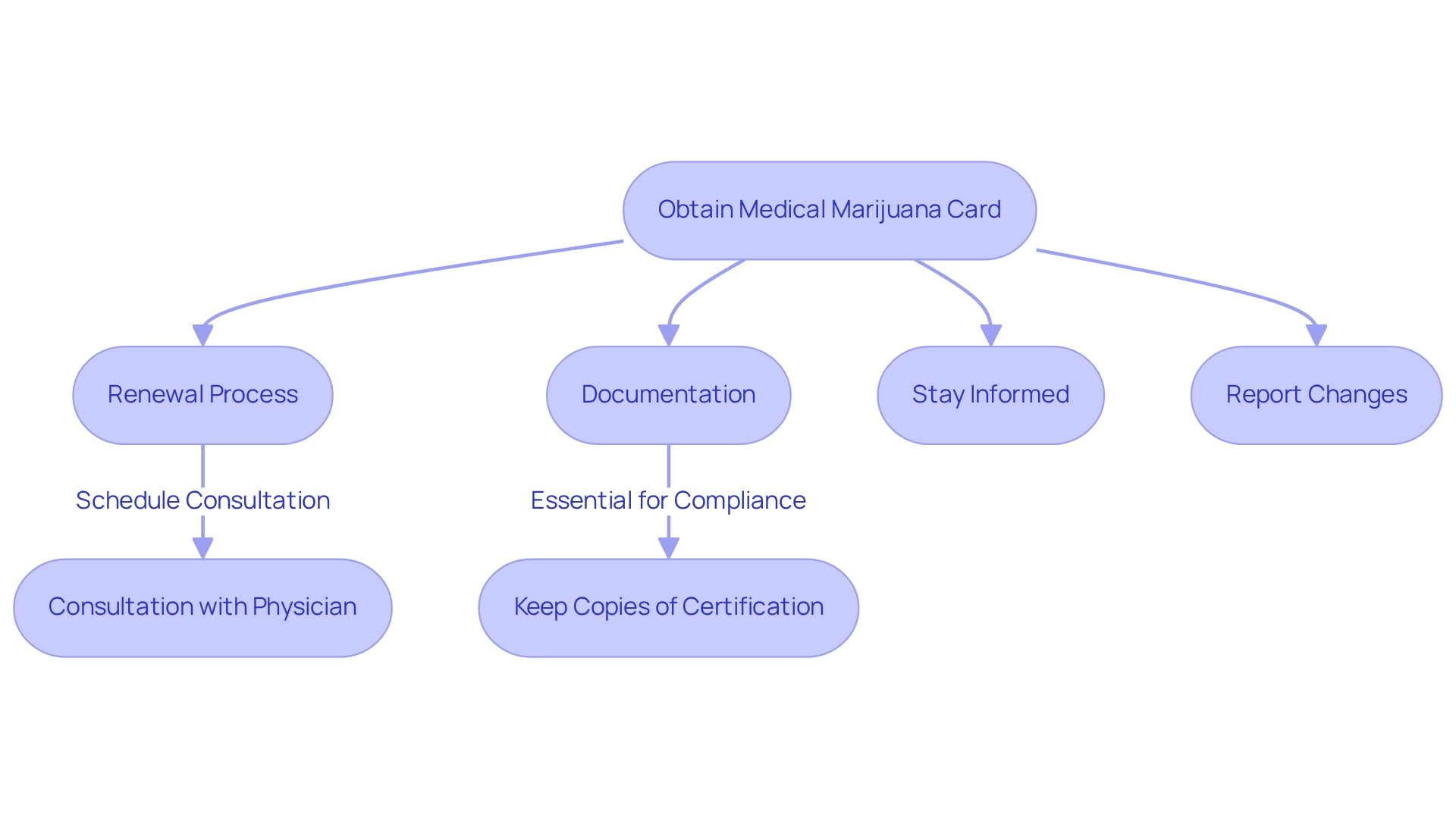 Follow the arrows to see the steps you need to take — from obtaining your card to ensuring it stays valid and compliant. Each box represents an important action to keep in mind. Follow the arrows to see the steps you need to take — from obtaining your card to ensuring it stays valid and compliant. Each box represents an important action to keep in mind.
