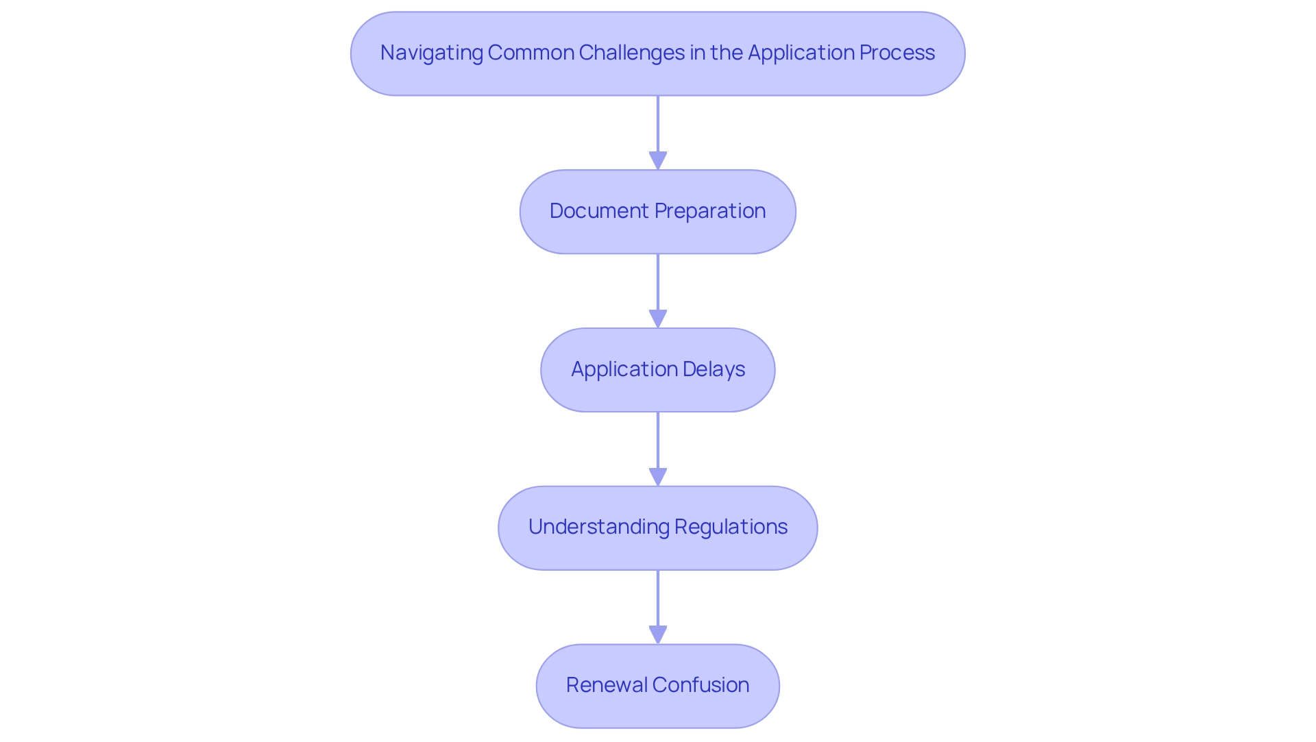 Each box represents a challenge in the application process, with color coding to differentiate them.